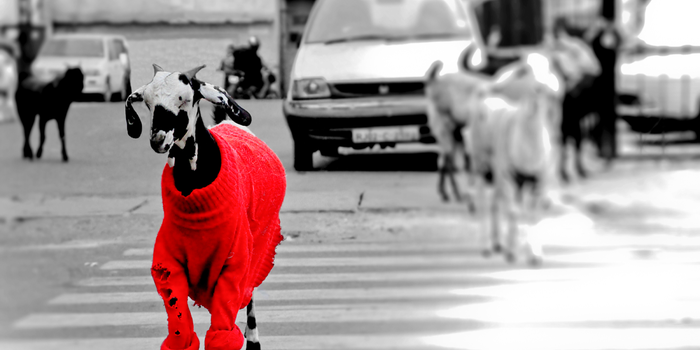 Cómo ser la diferencia en tu industria