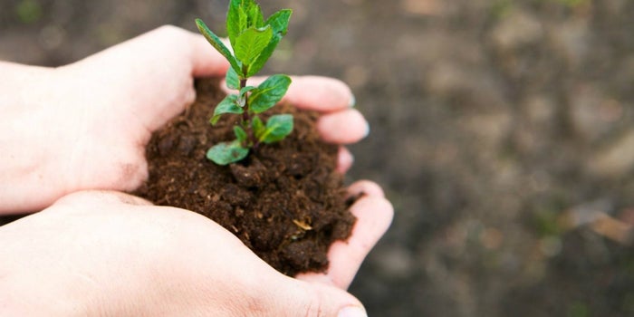 Estudiantes de Veracruz ganan Premio Joven Emprendedor Forestal
