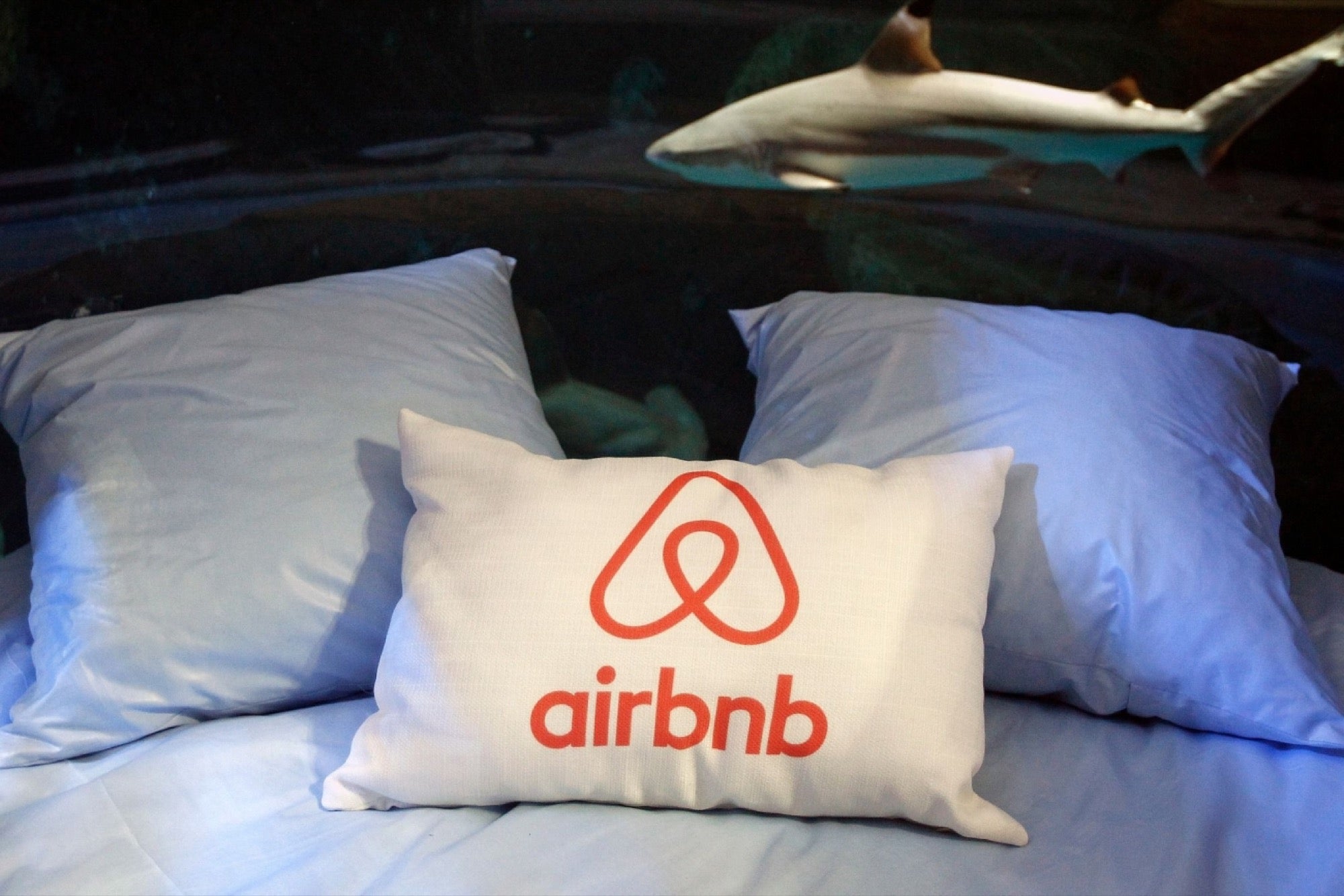 Sharing Economy Showdown The Airbnbs of the World Will Be Bigger Than