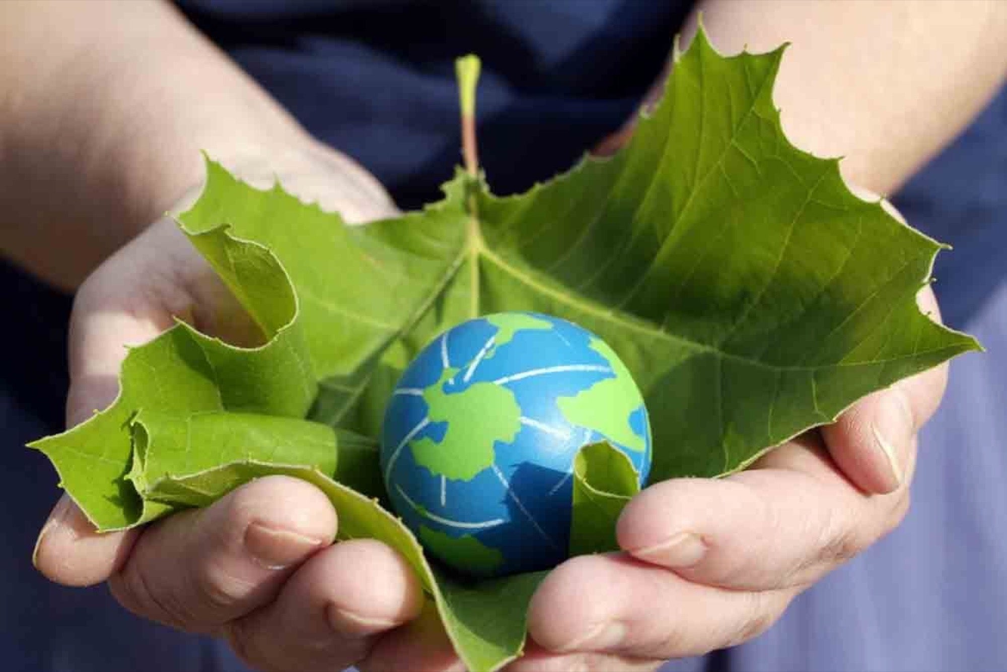 The Reasons To Adopt A 'Go Green' Attitude | Entrepreneur