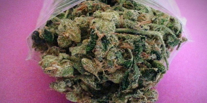 Microsoft Has Partnered With a Marijuana Startup -- Start Up Your Day Roundup
