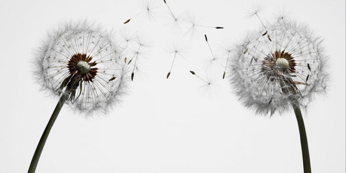 Why You Should Never Start Just One Business