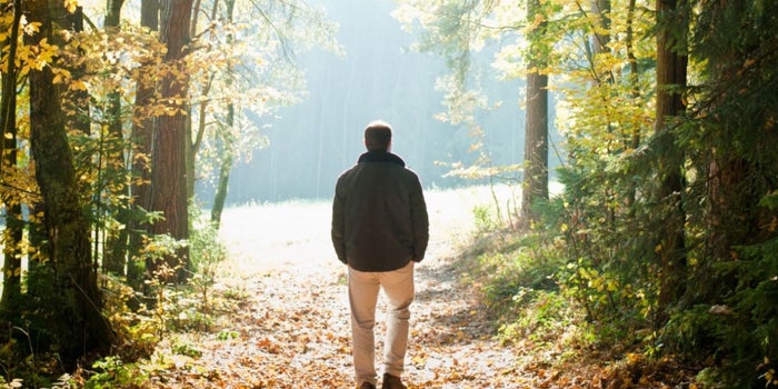 5 razones para acercarte a la naturaleza
