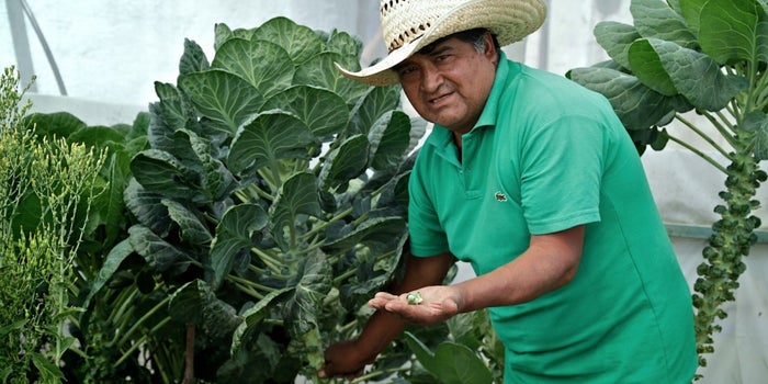 Emprendedores sociales al rescate del campo