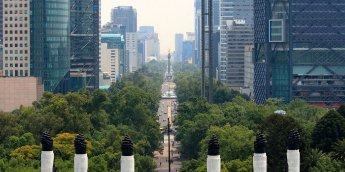 CDMX, Oaxaca y Acapulco, peores ciudades para arrancar un negocio
