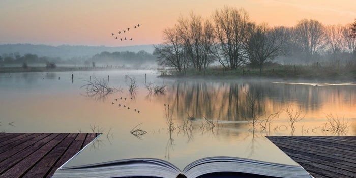 Por qué usar storytelling en tu contenido