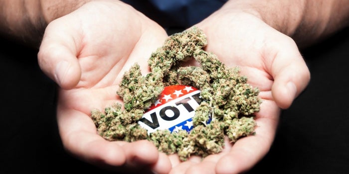 Decision Time: Legal Marijuana Faces Big Moment On Election Night
