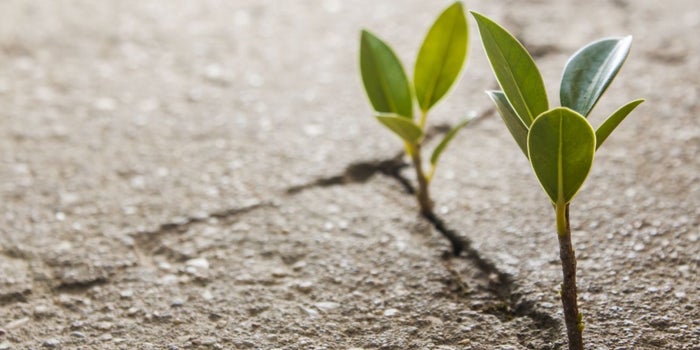 Las 3 cosas que solo los emprendedores de verdad tienen