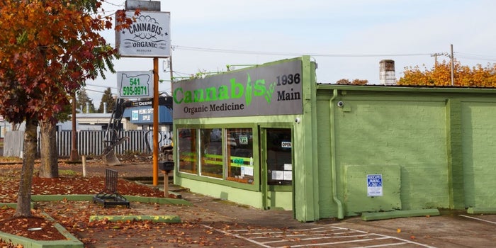 Study Finds Most Investors Comfortable With Businesses That 'Touch' Marijuana