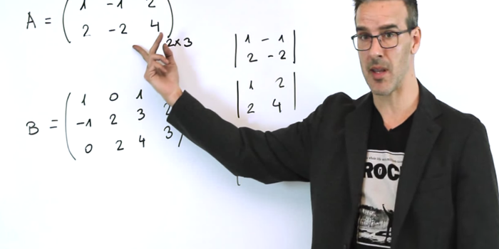 El youtuber que va por Nobel de educación 2016 por sus clases de matemáticas