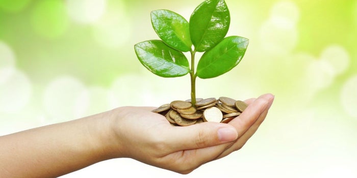 Buscan invertir en negocios de alto impacto