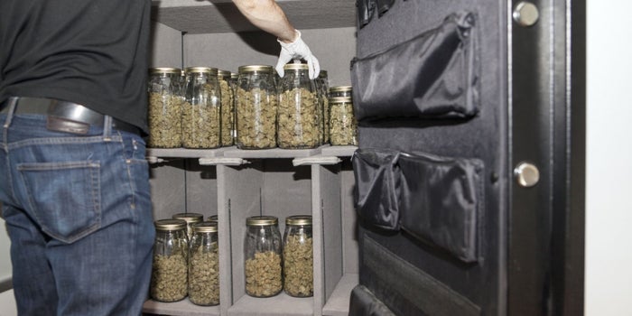 Cannabis Stock Index Grew 236% In 2016