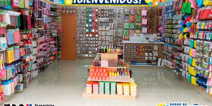 ¿Qué son las franquicias de novedades y por qué te conviene invertir en ellas?