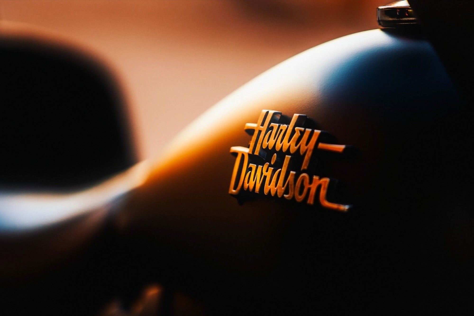 harley davidson brand