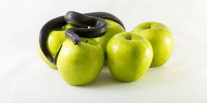 7 pecados al emprender