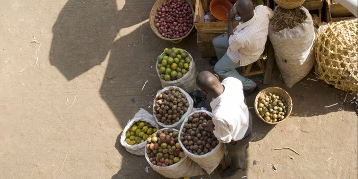 What African Entrepreneurs Can Teach Us About Overcoming Challenges