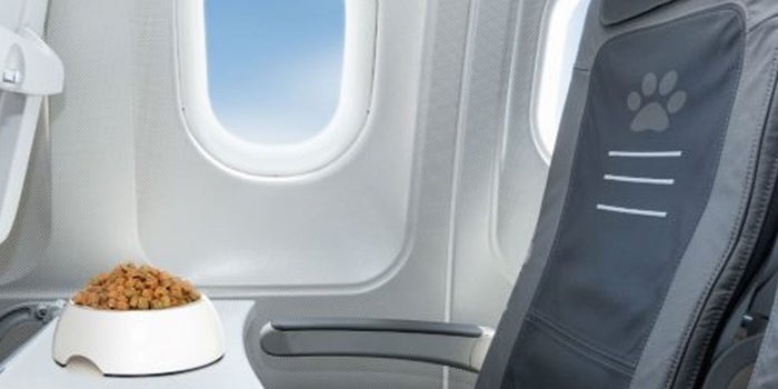 Embalaje de mascotas para viajes
