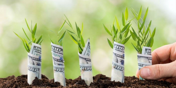 Cómo invertir en una startup y volverte socio