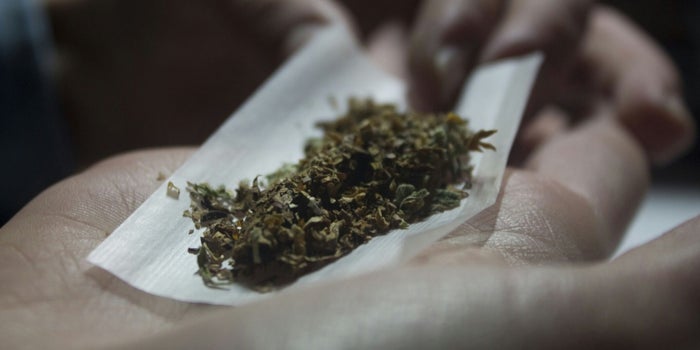 Here's How April 20 Became the 4/20 of Global Cannabis Significance