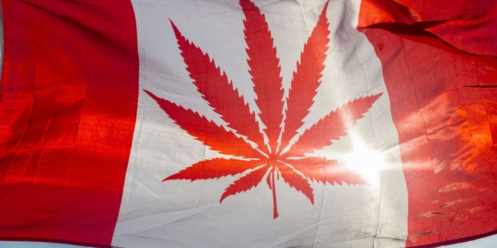 Legalize or Demonize: Leaders in Canada, US Have Very Different Views on Marijuana