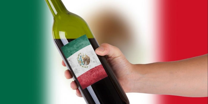 Especial: Oportunidades de negocio en la industria del vino