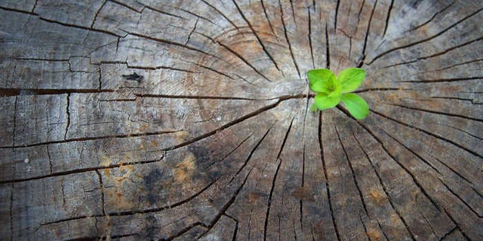 3 pasos críticos para reinventarte