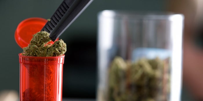 Israel Studies Potential of Medical Marijuana as a Treatment for Autism