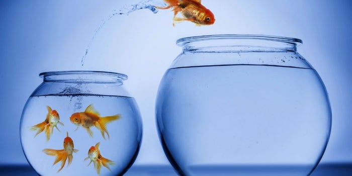 3 claves para liderar cambios en tu empresa