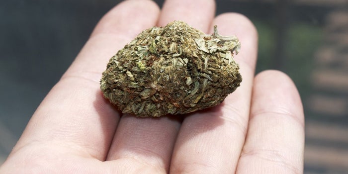 Illinois Looks to Marijuana to Plug Huge Hole it Its Budget