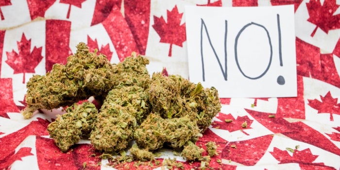 Border Officials Are Banning Canadians Who Admit They've Smoked Marijuana