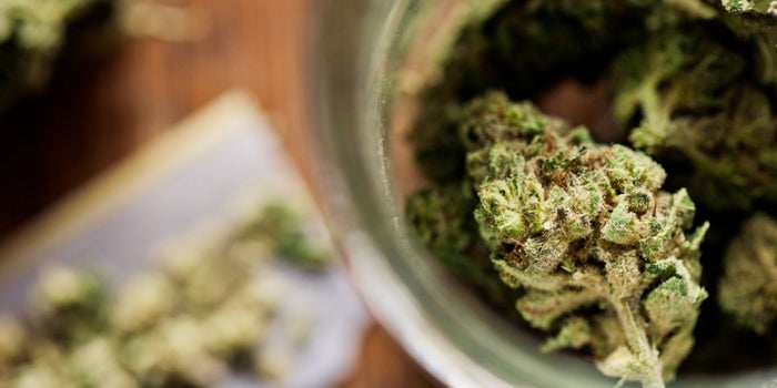 Legal Marijuana Sales Surpass Viagra, Tequila and Girl Scout Cookies