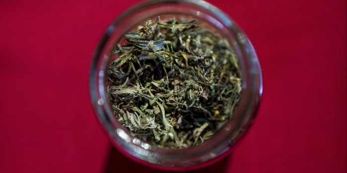 Governor's Veto Stalls Vermont Legislation to Legalize Marijuana