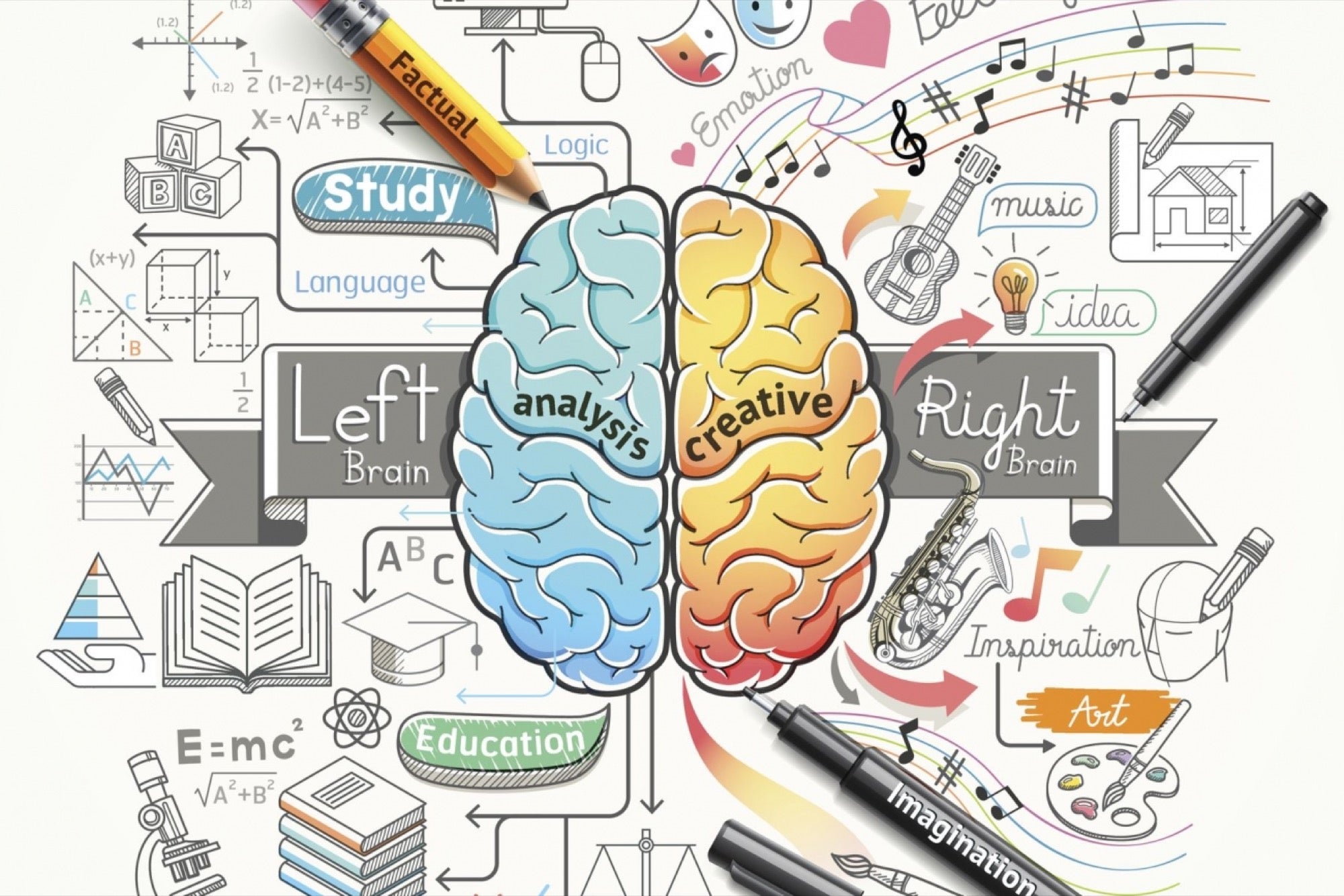 Are You Really Right Brained or Left Brained? Naomi D #39 Souza Writer