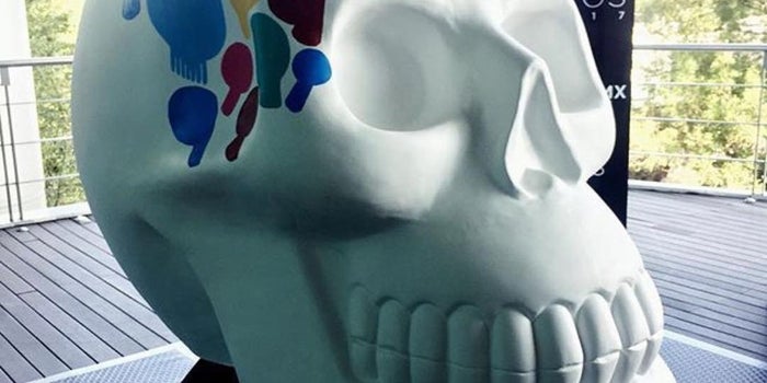Mexicráneos, el proyecto de arte con el que esta Pyme fascinará a la CDMX