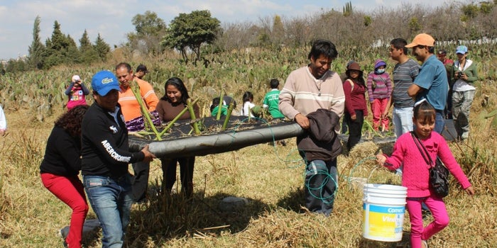 Los emprendedores que usan lombrices para limpiar el agua
