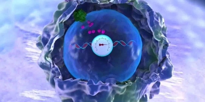 How Scientists Are Hacking Cancer