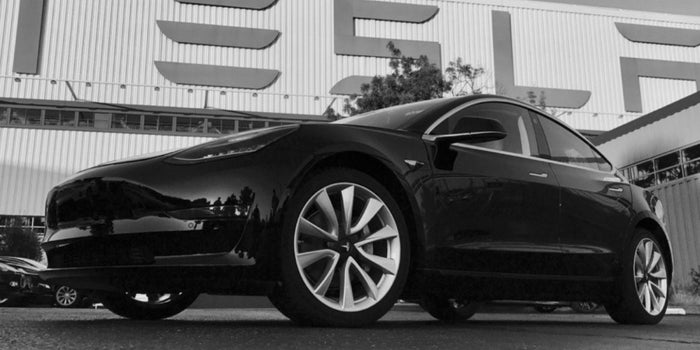 Este es el "regalito" de Elon Musk por su cumpleaños 46