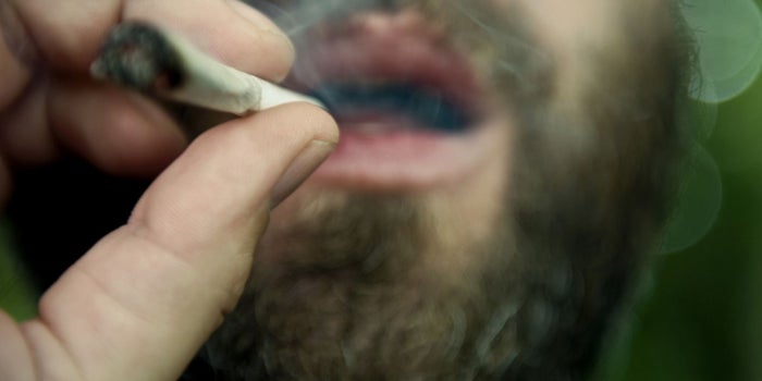 A New High: Nearly Half of All American Adults Have Tried Marijuana