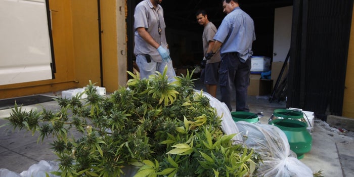 Oakland Explores Reparations for Those Persecuted by the War on Drugs