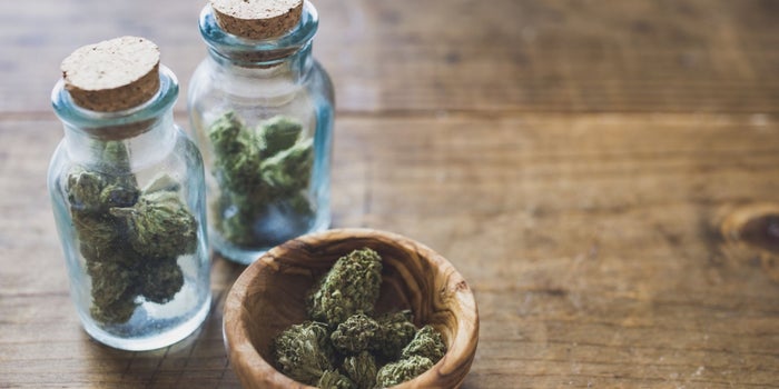 3 Must-Dos to Prepare for When Cannabis Is Federally Legal