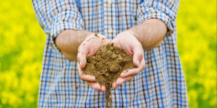 Qué es el agrotech y cómo lo puedes aprovechar