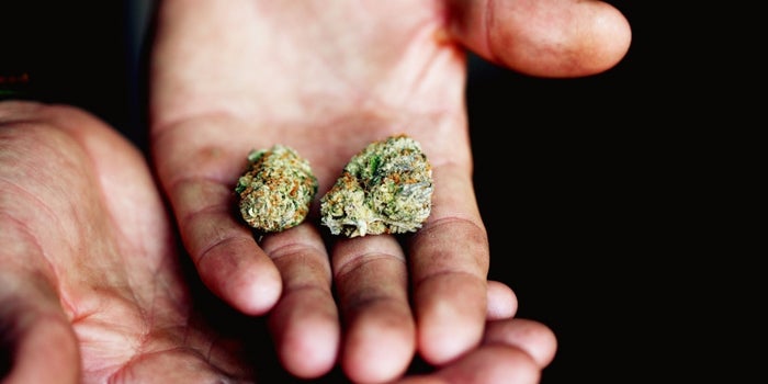 Some Universities Offer Classes On Marijuana. LSU Plans to Grow It.