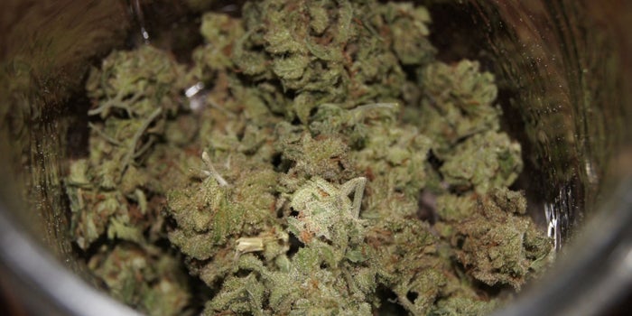 Maine Might Legalize Drive-Through and Internet Cannabis Sales