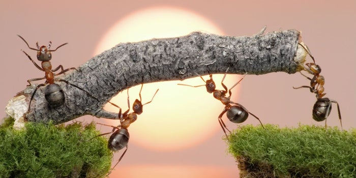 9 tips para delegar eficientemente en tus equipos de trabajo