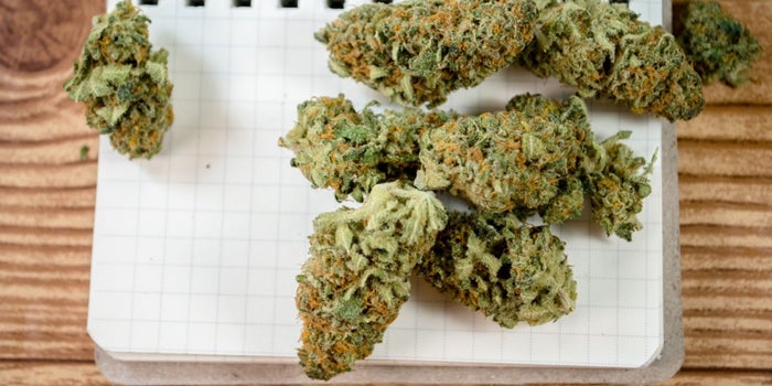 How Will Businesses Handle Legalized Marijuana in the Workplace?