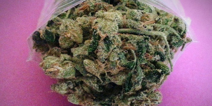 This Army Vet Flew Apaches Over Iraq And Now Sells Cannabis Online