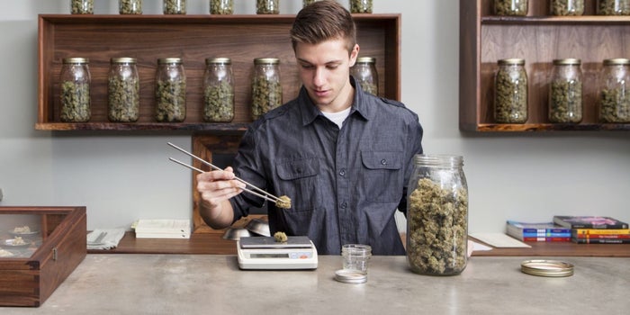 A University in Michigan Is Offering a Bachelor Degree for Marijuana Entrepreneurs