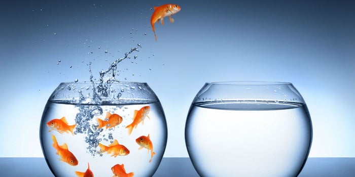Disruptivo APRENDE, el paso entre querer emprender y saber cómo