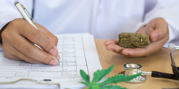Burgeoning Marijuana Industry Has a Growing Need for Scientists