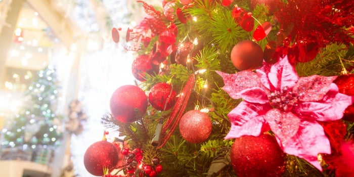 Especial: 7 ideas de negocios decembrinos que puedes arrancar